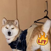 ZIMA🍜 (@ramendog3_3) Twitter profile photo