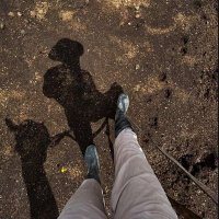 SilviaGC (@sylviamabelgon1) 's Twitter Profile