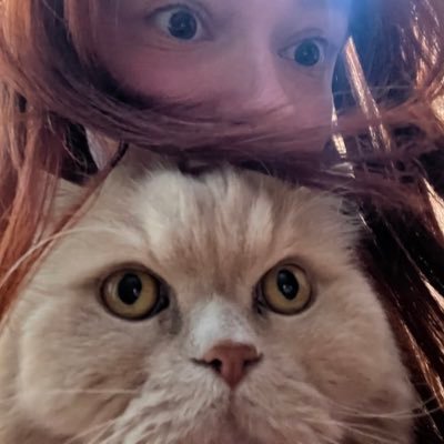 cesucecesu's profile picture. 