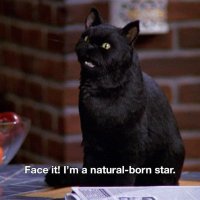 Sabrina Medime🌻🦁 (@sabbx_) 's Twitter Profile