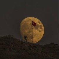 🐺🇹🇷 (@nisaa__34) 's Twitter Profile