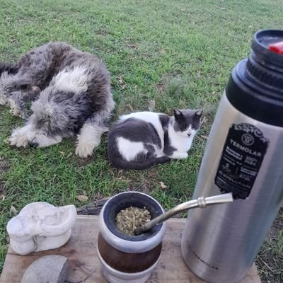 FBejino's profile picture. 