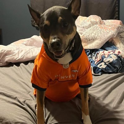 Love all sports especially the Denver Broncos and Montana Grizzlies 🏈 fantasy 💰 Kansas and Phoenix suns 🏀my pups 🐶🐶 and family especially!