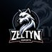 Zeltyn Racing Esports (@zeltynracing) Twitter profile photo Zeltyn Racing Esports (@zeltynracing) Twitter profile photo