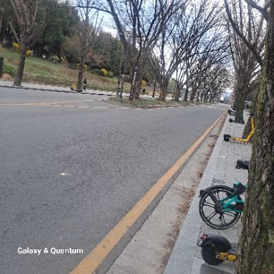 메시지보내면계정차단합니다
메시지X 만남X no message no meeting
일상공유.공부자료.
건강정보.생활정보.풍경사진
뉴스기사도개재합니다
가입일자 25.3.27 헛소리댓글 차단합니다
