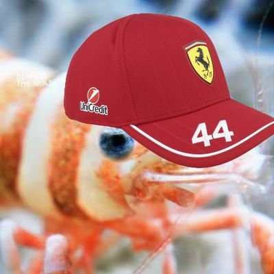 Formula Shrimpさんのプロフィール画像