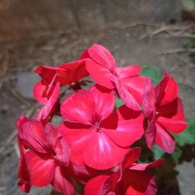 sevein108's profile picture. 