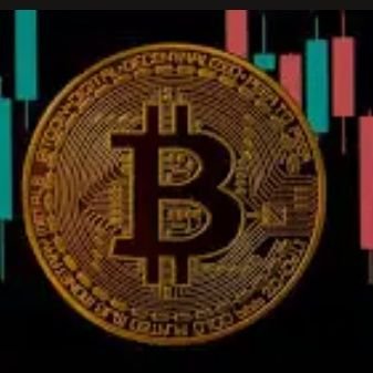 Get Quality Mentorship in Forex & Crypto. Then, always check for free crypto Airdrops and make some dollars. Like, share and follow me for more!