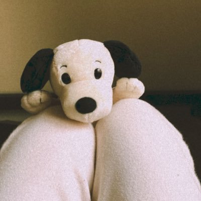 cizu_co's profile picture. 経営者。好きなもの↠〈観劇／ホテル／朝の時間／さんぽ／建築／ひとりの時間〉& 獅子座のO型🦁