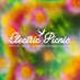 Electric Picnic (@epfestival) Twitter profile photo Electric Picnic (@epfestival) Twitter profile photo