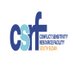 Conflict Sensitivity in South Sudan (@csrf_ss) Twitter profile photo