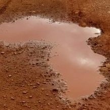 HumormeMrIQ's profile picture. 