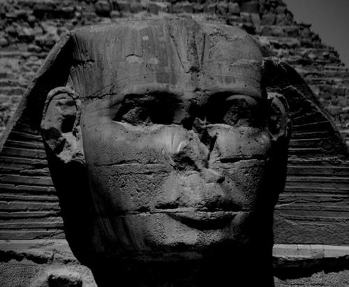 DSPAlumniChair's profile picture. 