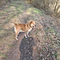 mimur (@mimurro) 's Twitter Profile