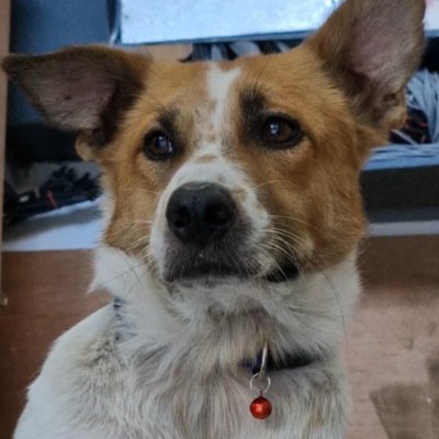 a_bxnnyh0p's profile picture. D2t5xeftUdPc2nEcKRLRBcuoephMVWpdAZhtL3LobgGf

b$nnyh0p