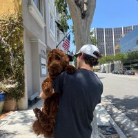 Charlie (@charliegoaway) 's Twitter Profile