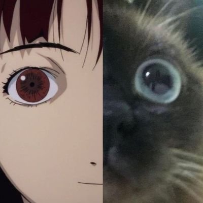 deneuv_'s profile picture. We're chained