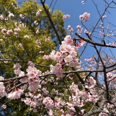 icenana_2008's profile picture. 🌻| Y.O.L.O |🌻