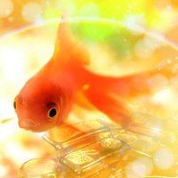 まちゃ (@uitim43rzqacb3p) Twitter profile photo