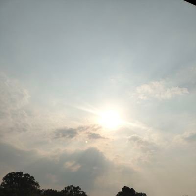 shiva_sscap9's profile picture. self employed