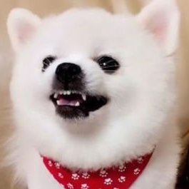 趣味において、読書は欠かせない糧になっています。本の世界に浸り、それぞれの物語の喜怒哀楽を感じれば、何通りもの人生を生きてきたような気がします。暇な時、私はまた熱心に絵を描いて、絵筆で心の中の美しいを描いて、自由奔放な想像を1枚1枚のすばらしい作品に変えます。
