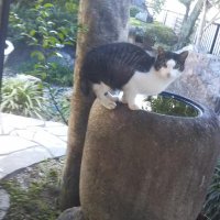 Takao IMAI (@imatak522) 's Twitter Profile