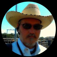 Donald Lanier (@texasauthor1969) 's Twitter Profile