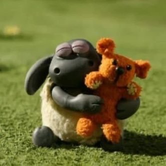 cynodiarya's profile picture. 🫵😽