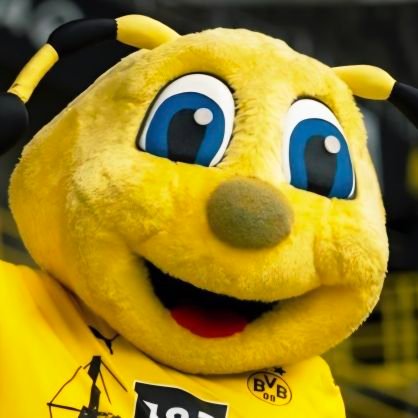 lunatonic_ss's profile picture. クソヲタ（IQ3）
BVB🐝&ドイツ代表🇩🇪　
❥ᶫᵒᵛᵉ❥ロイス💛ニコ🖤/
J:鹿島、横浜FC中心に気ままに　関川郁万♥/その他スポーツもたまに
蜂楽廻🐝