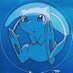 OC Pokemon Restocks (@ocptcg) Twitter profile photo OC Pokemon Restocks (@ocptcg) Twitter profile photo