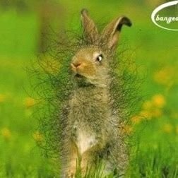 JIMAND85's profile picture. do not take offense, but I will rarely answer any personal messages. I have deep and large trust issues with people