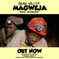 SEANWILCOX (@seanwilcox0) 's Twitter Profile Photo