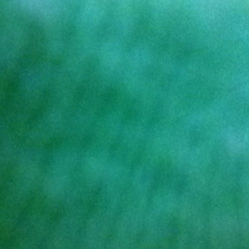 ohmygeeitsbre's profile picture. im 20.im breighana and im obsessed with my dog and starbucks!