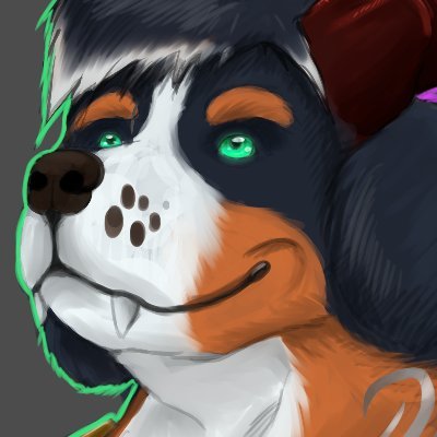 Dire 🇫🇮さんのプロフィール画像