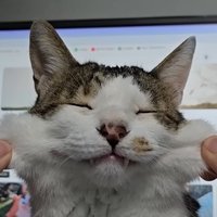 TEC Rb (@rbvlrt) Twitter profile photo