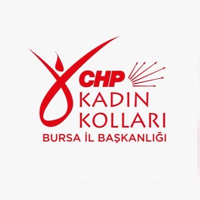 CHPBURSAKK's profile picture. Bursa İl Kadın Kolu Başkanımz NİGAR BÖLÜKER @niboluker