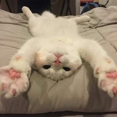 liam230304's profile picture. Positive Energy