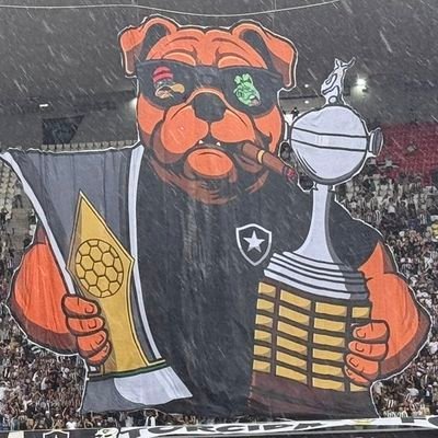RodrigoBrumCam1's profile picture. O resto é só Futebol. 
Isso aqui é Botafogo!!