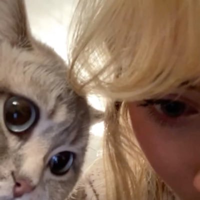 mmrellee's profile picture. 🍀