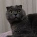 ... (@oylesinemine7) Twitter profile photo ... (@oylesinemine7) Twitter profile photo