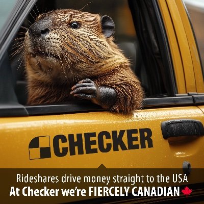 Checker Cabs Profile