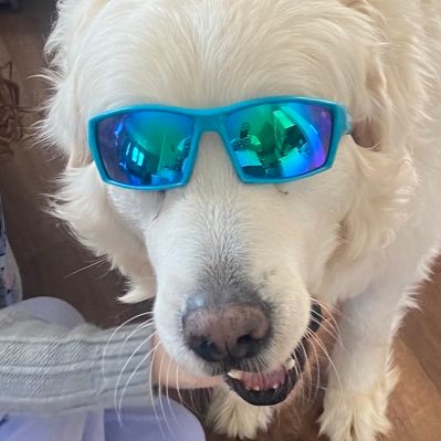 JacobFowler89's profile picture. veteran, gambler