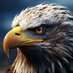 Orion Power 🦅 (@mbunga01) Twitter profile photo Orion Power 🦅 (@mbunga01) Twitter profile photo