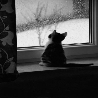 kunya__ky's profile picture. 