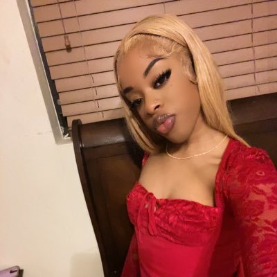 niquexo_xo's profile picture. 🇧🇸