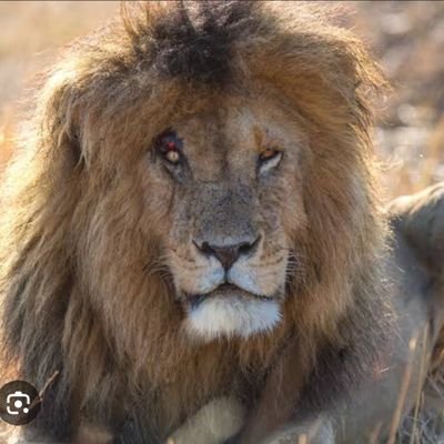 DemiralMuharrem's profile picture. 🇹🇷🇹🇷🇵🇸🇵🇸🇱🇧🇨🇮🇦🇩🇧🇩🇨🇨🇩🇿🇭🇺🇰🇿🇱🇾🇲🇷🇲🇻🇴🇲🇹🇳🇹🇲🇽🇰🇵🇰🇦🇫🇸🇴🇦🇿🇦🇱🇧🇦🇧🇭🇮🇶🇸🇾🇵🇸🇵🇸🇹🇷🇹🇷