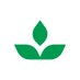 Sprout🌱 (@sprout_capital) Twitter profile photo Sprout🌱 (@sprout_capital) Twitter profile photo
