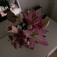 ! (@4jllu) Twitter profile photo