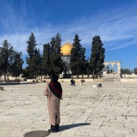 mah 🇵🇸 (@mahmahharam) Twitter profile photo