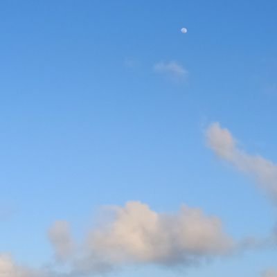 LLV1130's profile picture. 